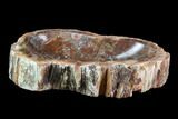 Polished Madagascar Petrified Wood Dish - Madagascar #96080-2